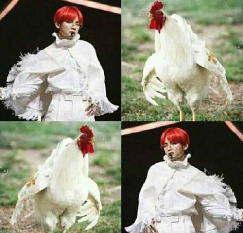 明星权志龙恶搞笑死人表情包图恶搞gif搞笑图片