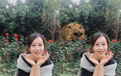 求大神ps美女与野兽恶搞图片恶搞gif搞笑图片