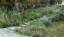 大爷隐身衣ps恶搞gif动态图恶搞gif搞笑图片