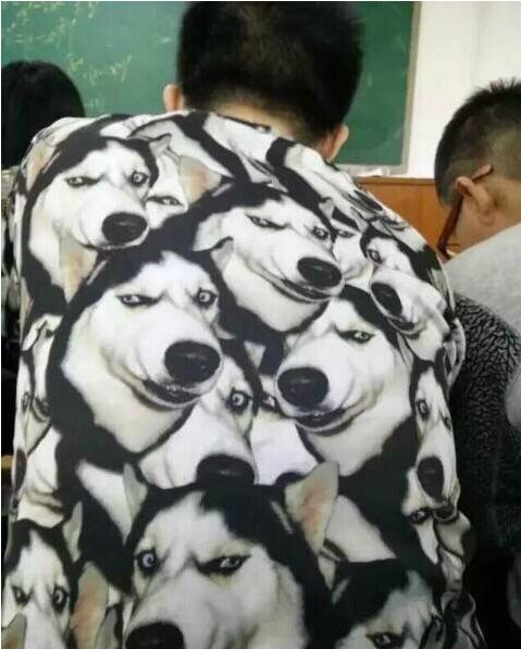 恶搞哈士奇表情包印花衣服图片恶搞gif搞笑图片