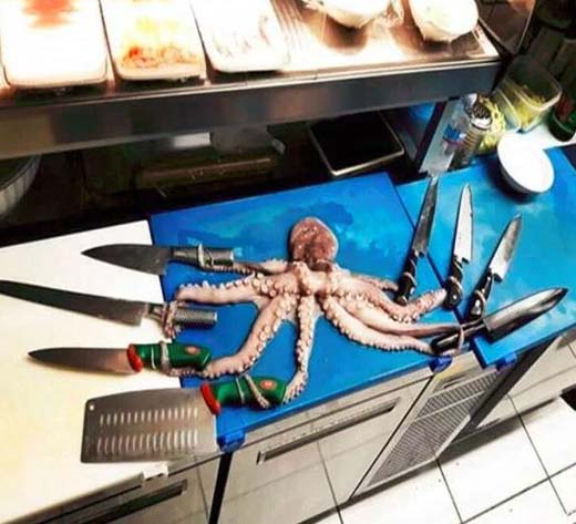 章鱼八爪鱼动物恶搞图片恶搞gif搞笑图片