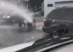 恶搞街头消防栓搞笑动态图恶搞gif搞笑图片