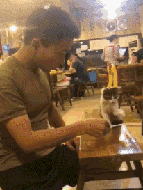 吸管变魔术恶搞动物动态图恶搞gif搞笑图片