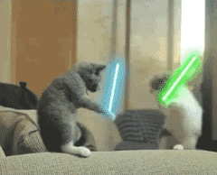 恶搞动物打架的动态图恶搞gif搞笑图片