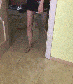 恶搞猫爬墙的动图恶搞gif搞笑图片