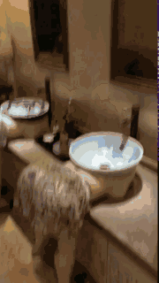 创意恶搞的洗手台图恶搞gif搞笑图片