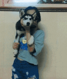 恶搞哈士奇的动图恶搞gif搞笑图片