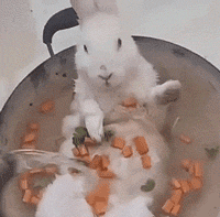 恶搞兔子洗澡下锅的gif搞笑动态图恶搞gif搞笑图片