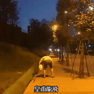 主人恶搞宠物猫咪的搞笑动图恶搞gif搞笑图片