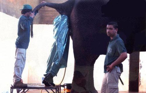 给你一天两千你们愿意干嘛恶搞gif搞笑图片