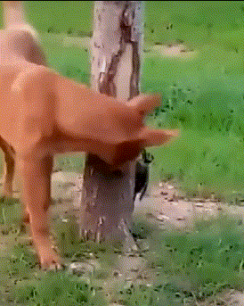 小样，你别停，继续转....恶搞gif搞笑图片