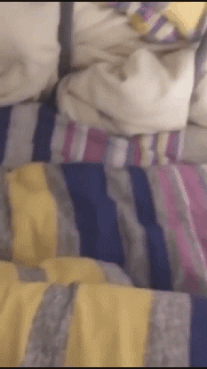 每次起来时看到室友的床都把我吓一跳恶搞gif搞笑图片