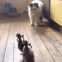 这啥东西，妈呀救命呀！恶搞gif搞笑图片