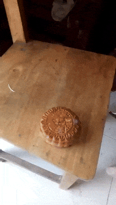 这玩意，狗都嫌弃恶搞gif搞笑图片