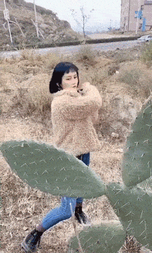 仙人掌：敢打我，以为我是好欺负的恶搞gif搞笑图片