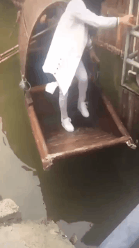 该放手时就放手，不要舍不得恶搞gif搞笑图片