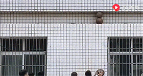 学校存球最好的地方恶搞gif搞笑图片