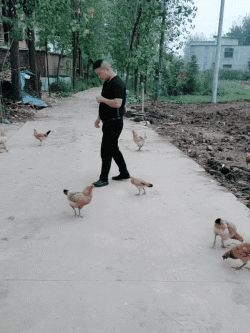 小伙子把偷袭这招用的淋漓尽致恶搞gif搞笑图片