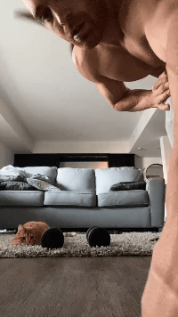 走开，别在我窝里装b恶搞gif搞笑图片