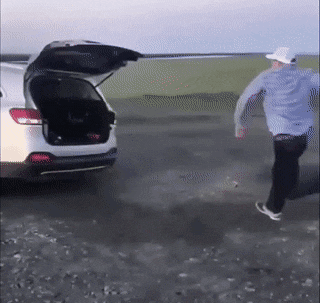 自残的最好方式就是装逼恶搞gif搞笑图片