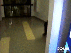 最终这辆儿童脚踏车承受了他不该承受的重量恶搞gif搞笑图片