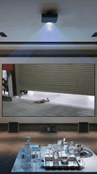 狗子：我当时心里慌的一批，差一点我就交代了恶搞gif搞笑图片