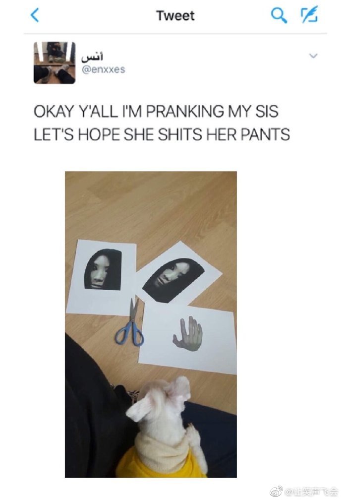 要是谁敢这么吓我那就直接断绝关系了恶搞gif搞笑图片