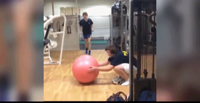 猪一样的队友恶搞gif搞笑图片