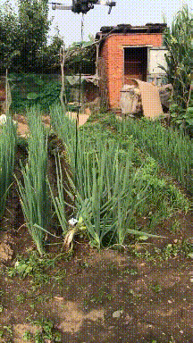 开无人机的小伙你等着，今天跟着无人机去你家找你恶搞gif搞笑图片