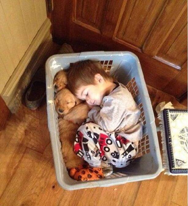 就喜欢在这里睡儿童gif搞笑图片