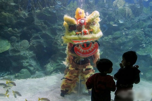 哥哥，你知道么，这叫海狮~~~儿童gif搞笑图片