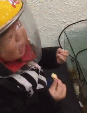 防吃头盔，我感受到宝宝心中略过数以万计的神兽儿童gif搞笑图片