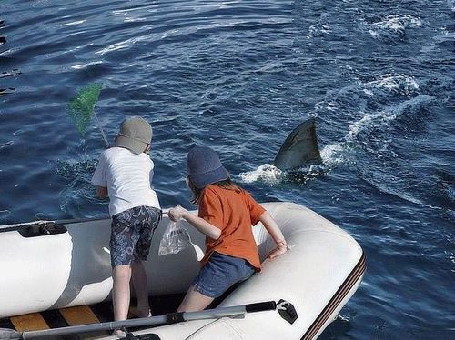 看我把它抓上来瞧瞧儿童gif搞笑图片