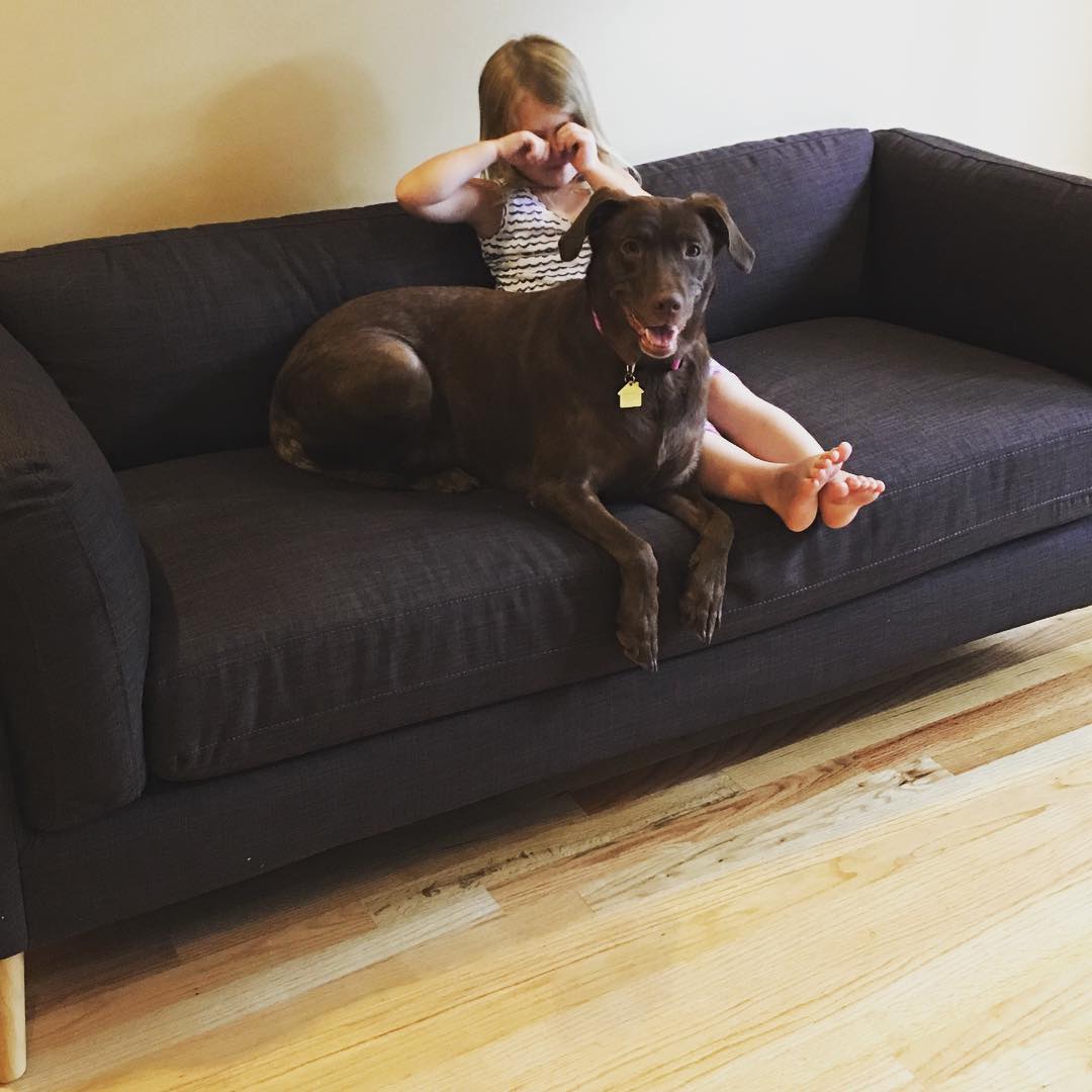 阿汪，你来给我解释一下怎么回事？儿童gif搞笑图片