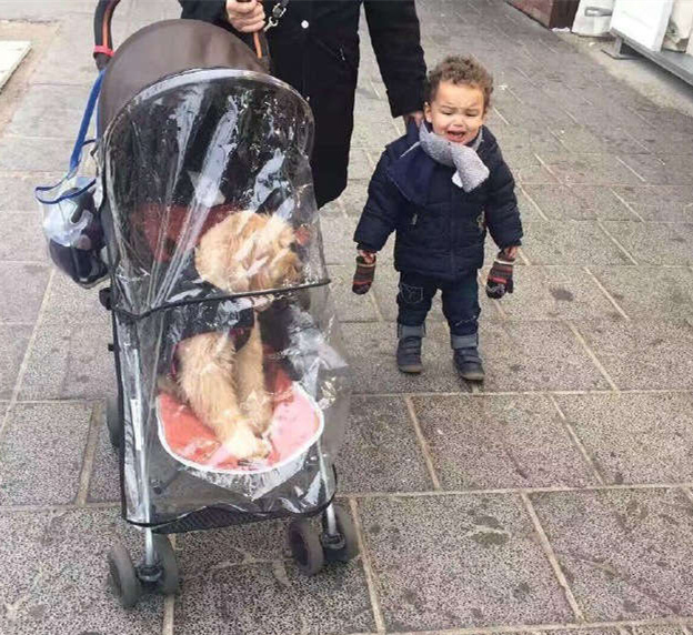 妈妈你到底是爱我还是爱它？儿童gif搞笑图片