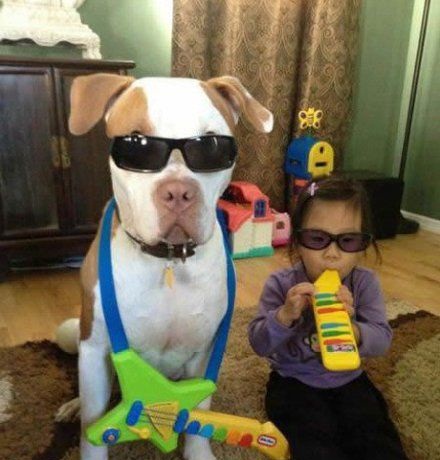 这是一支用灵魂在演奏的乐队儿童gif搞笑图片