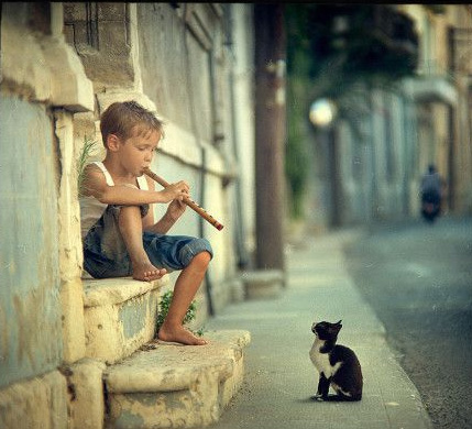 世人万千总会有你的听众儿童gif搞笑图片