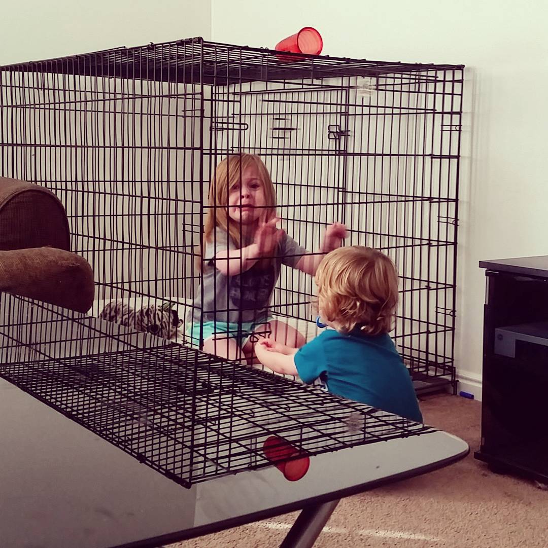 求姐姐心里的阴影面积儿童gif搞笑图片