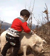 秋名山的灵魂骑士儿童gif搞笑图片