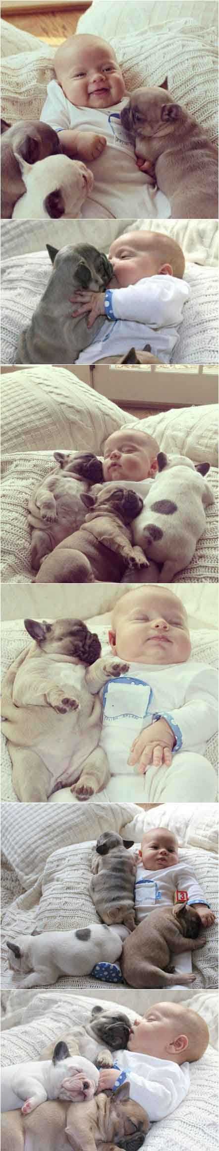 可爱小宝宝和小斗牛犬的亲密合影，有木有萌到你咧！儿童gif搞笑图片
