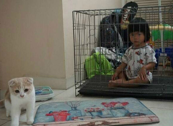 论如何让熊孩子和家猫和平共处？儿童gif搞笑图片