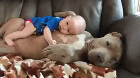 好温馨的画面儿童gif搞笑图片