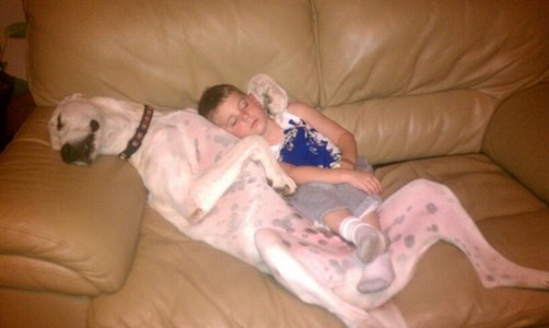 看这俩儿，睡到忘我的境界了儿童gif搞笑图片