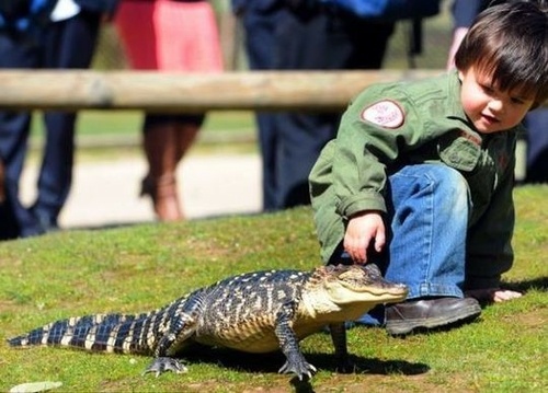 来我们一起玩玩把儿童gif搞笑图片