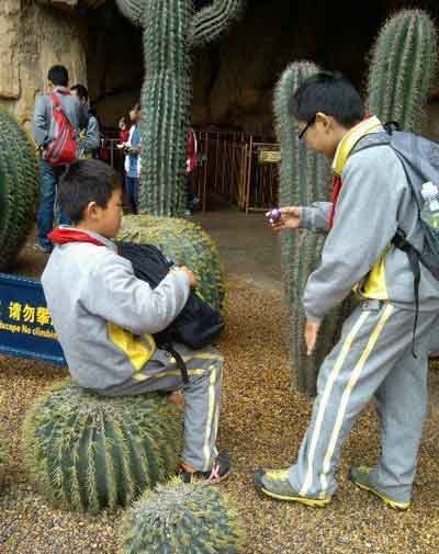 这样坐真的没有问题吗儿童gif搞笑图片