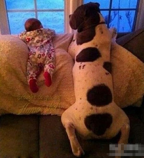 麻麻还没回来，我俩都饿趴了儿童gif搞笑图片