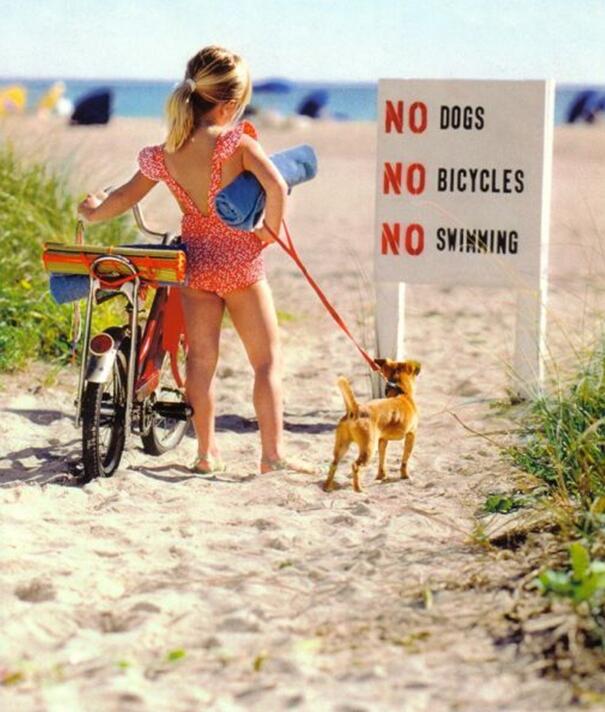 我们要去哪里儿童gif搞笑图片