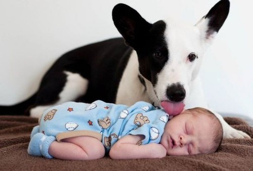 甜美的梦儿童gif搞笑图片