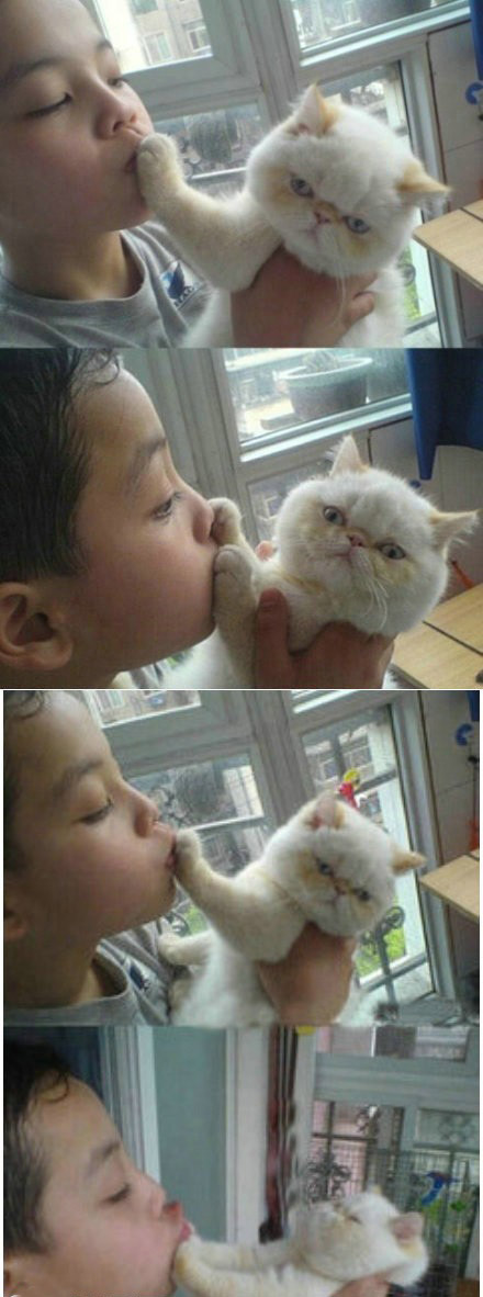 主人请自重，我只卖萌不卖身。。。儿童gif搞笑图片