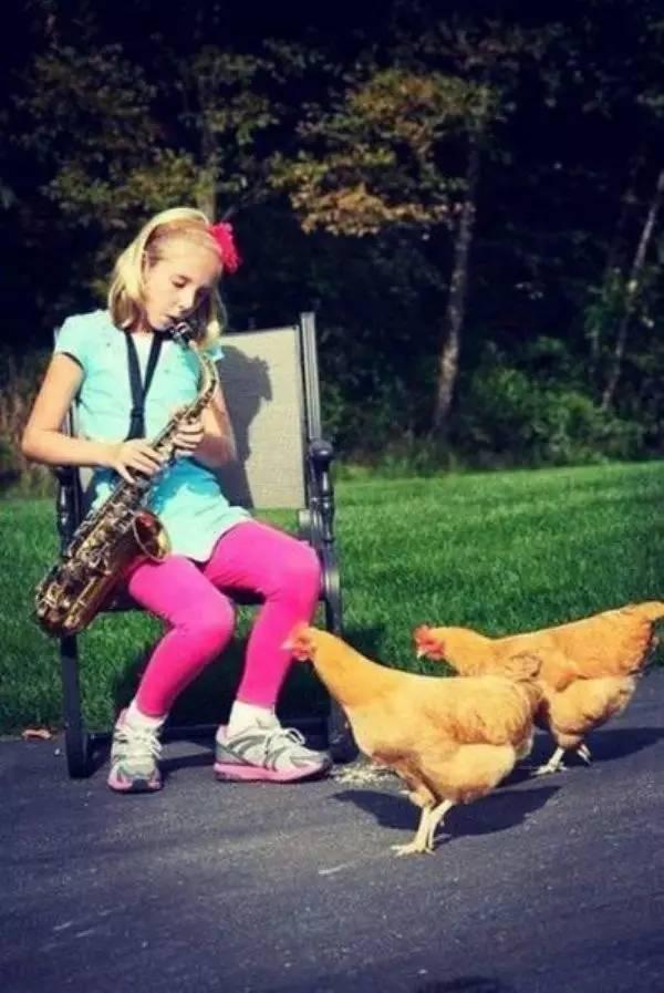 让鸡开心的吃饭儿童gif搞笑图片